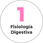 Fisiología Digestiva